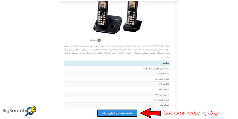 سفارش تبلیغ در وب سایت بیگ سرچ